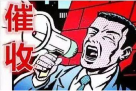 鲁山要账公司更多成功案例详情